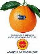 Orange de RIBERA D.O.P.